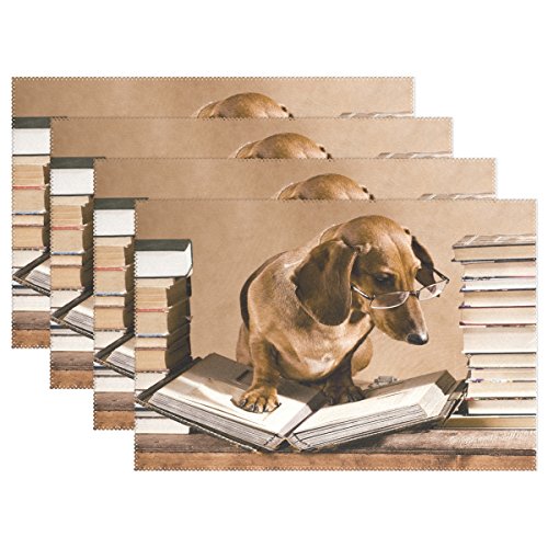 Use7 Platzset Hispter Dackel Hund Tischset, Professor Book, 30,5 x 45,7 cm, Polyester Tischmatte für Küche und Esszimmer, Polyester, Multi, Package Quantity: 4 von Use7