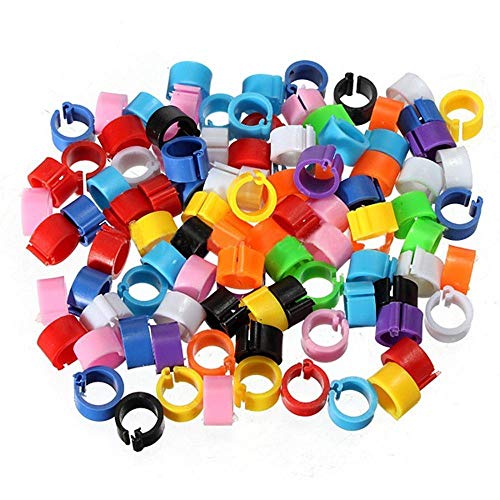 Uteruik Vogel Clip auf Bein Ringe 8mm Fuß Ring Bands für Taube Küken Bantam Wachtel Lovebirds Finch Small Geflügel Huhn (Mischfarben), 100St von Uteruik