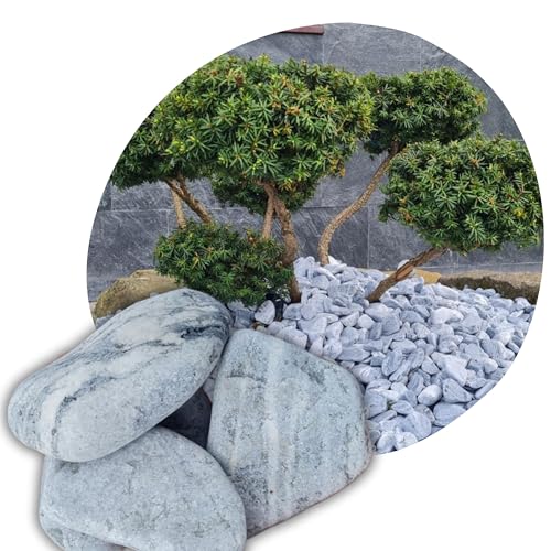 V-PREMIUM SOLUTION - Kieselsteine Deko Grau 4-8 cm - Steine Deko - Deko Steine Kleine - Gartendeko - Aquarium Deko - Dekosteine für vasen V-PREMIUM SOLUTION - Kieselsteine Deko Grau 4-8 cm - Steine Deko - Deko Steine Kleine - Gartendeko - Aquarium Deko - Dekosteine für vasen von V-PREMIUM SOLUTION