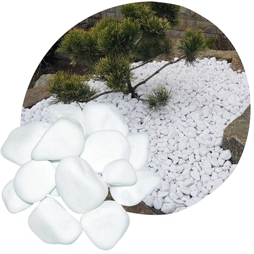 V-PREMIUM SOLUTION -Thassos Weiße Marmor-Kieselsteine - Dekorativ Stein 4-8 cm - Gartendeko - Dekostein - Natürliche Gartendekoration aus Griechenland - Schneeweißer Glanz - Kieselsteine von V-PREMIUM SOLUTION