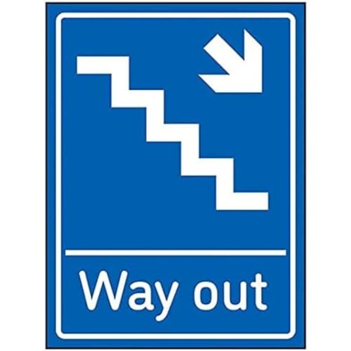 VSafety Way Out Pfeil Down Treppen rechts – 200 mm x 300 mm – Blau selbstklebendes Vinyl von V Safety