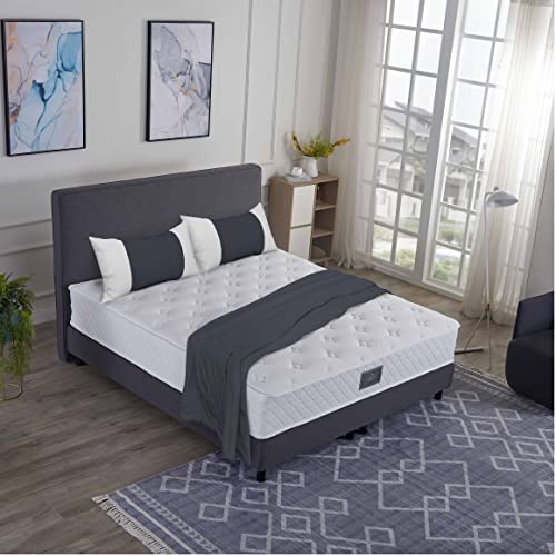 V6 Boxspringbetten Bestes Preis-Leistungsverhältnis (160 x 200 cm H3/H4, Anthrazit) von V6