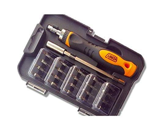 Bit-0022 Präzisionsspitzenset aus Chrom – Vanadium. Inklusive Griff, Verlängerung (115 mm) und 20 Bits (4 x 28 mm) von V-8 Tools