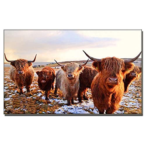 DIY 5D Diamond Painting Kits,Full Bohrer Highland Rinder Yak Kuh 30x60cm große Größe Diamant Malerei Bilder Kristall Strass Stickerei Cross Stitch Handgemachtes Bastelarbeiten Wanddekoration DIY 5D Diamond Painting Kits,Full Bohrer Highland Rinder Yak Kuh 30x60cm große Größe Diamant Malerei Bilder Kristall Strass Stickerei Cross Stitch Handgemachtes Bastelarbeiten Wanddekoration von VABUN