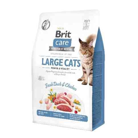 VAFO Praha s.r.o. Brit Care Katzenfutter für Katzen, groß, 400 g Power & Vitality GF von Brit