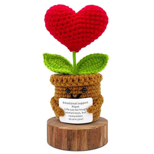 Pocket Hug Herz Glücksbringer Geschenke, Liebe for Positive Hug Geschenke, Positive Kartoffel Deutsch Ersatz, Mutmacher Geschenk, Gute Besserung Geschenk Handgewebter positiver Blumentopf - Rot von VAIGU:OA