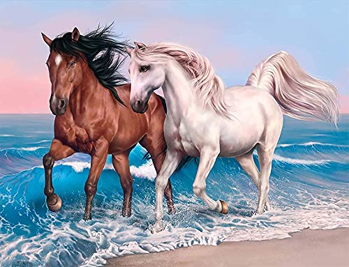 VAIIEYO DIY 5D Diamond Painting Pferd, Diamant Painting Bilder Malerei Kits Tier, Malen Nach Zahlen Diamant Home Wand Decor Gemälde Kreuzstich Diamond Dekoration 30x40 cm… von VAIIEYO