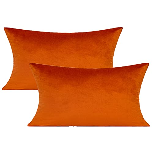VAKADO 30x50 cm 2er Set Kissenbezug Burnt Orange Lenden Samt Weich Solid Dekorative Rechteck Gemütlich Kissenhülle Home Dekor für Wohnzimmer Couch Sofa Auto von VAKADO