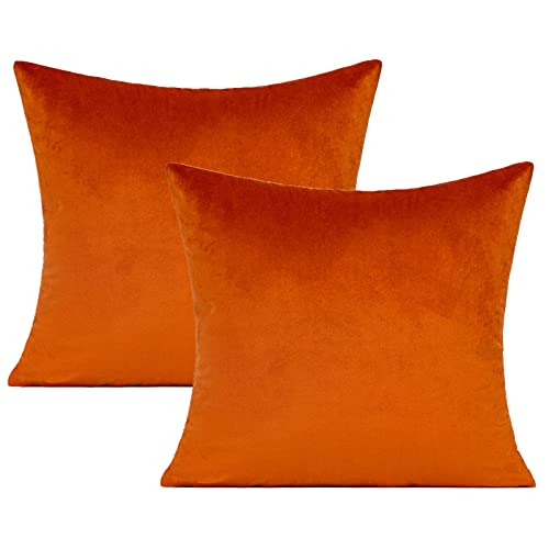 VAKADO Burnt Orange Samt Kissenbezüge Rost Herbst Thanksgiving Quadratisch Gemütlich Weiche Feste Dekorative Kissenhülle Dekokissenbezüge Wohnkultur für Couch Sofa Schlafzimmer Auto 2er Set,45x45 cm von VAKADO