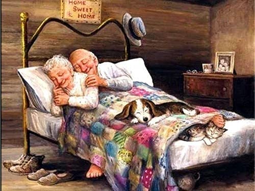 VAKUUM Diamond Painting Altes Paar Liebhaber Porträt 5D Diamant Malerei Für Er Und Erwachsene Diamond Painting Set Für Home Wall Décor Rahmenlos30*40cm von VAKUUM