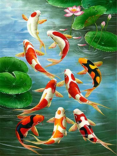 VAKUUM 5D Diamond Painting Kits_Koi-Fisch-Lotus Diamond Painting_Stickerei Malerei Kreuzstich für Wohnzimmer, Schlafzimmer, Arbeitszimmer usw. Haus Dekor50*60cm von VAKUUM