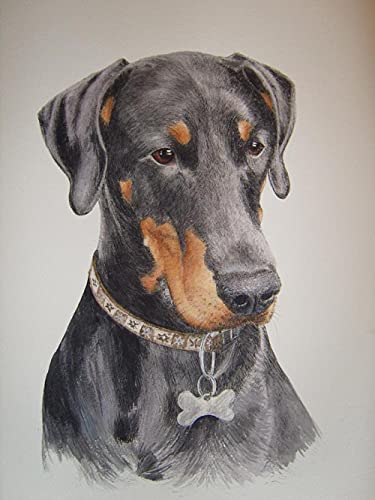 VAKUUM Diamant Painting Kinder 5D Diamond Painting Kits, Dobermann Hund DIY Malen Nach Zahlen Erwachsene Diamant Malerei Geburtstagsgeschenke50*60CM von VAKUUM