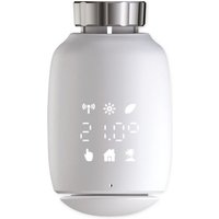 Vale - Heizkörper-Thermostat TV05-ZG von VALE