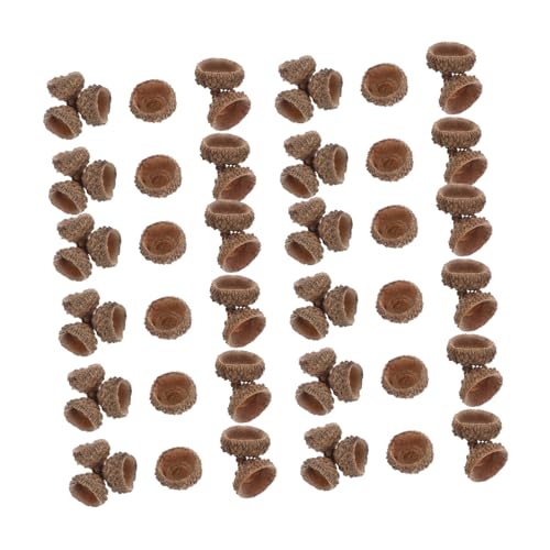 VALICLUD 100 Stück Teiliges Set Natürliche Eichhörnchenschalen Basteldeko Umweltfreundlich für Herbstparty Hochzeit Weihnachtsbaum Dekoration DIY Naturmaterialien zum Aufhängen und Basteln VALICLUD 100 Stück Teiliges Set Natürliche Eichhörnchenschalen Basteldeko Umweltfreundlich für Herbstparty Hochzeit Weihnachtsbaum Dekoration DIY Naturmaterialien zum Aufhängen und Basteln von VALICLUD