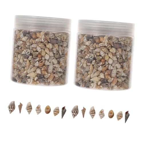 VALICLUD 2 Boxen Natürliche Muschelfüllstücke Meeresdeko für Epoxidharz Basteln DIY Schmuck und Ornamentfüllung Bastelzubehör für Kreative Tischdekoration und Aquarium Deko VALICLUD 2 Boxen Natürliche Muschelfüllstücke Meeresdeko für Epoxidharz Basteln DIY Schmuck und Ornamentfüllung Bastelzubehör für Kreative Tischdekoration und Aquarium Deko von VALICLUD