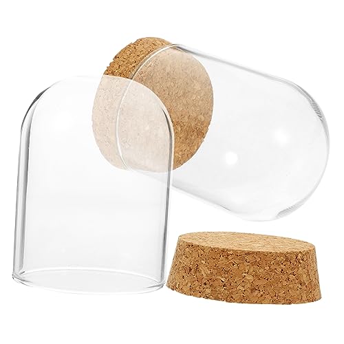 VALICLUD 2 Sätze Ewige Blumen Kuppel mit Korkboden Teiliges für Kreative Tischdekoration für Wohnzimmer Büro für Frauen VALICLUD 2 Sätze Ewige Blumen Kuppel mit Korkboden Teiliges für Kreative Tischdekoration für Wohnzimmer Büro für Frauen von VALICLUD