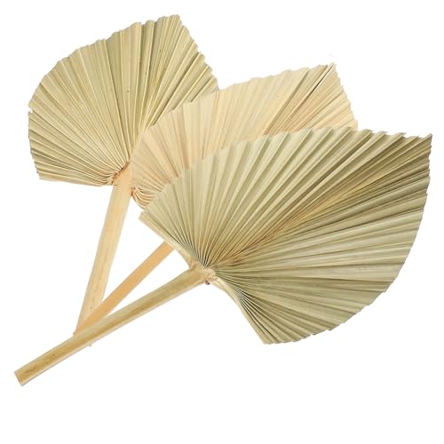 VALICLUD 3 Stück Getrocknete Palmblatt deko Natürliches Wandkunstblatt Boho Hochzeit Party Tischdeko Tropische Raumdekoration VALICLUD 3 Stück Getrocknete Palmblatt deko Natürliches Wandkunstblatt Boho Hochzeit Party Tischdeko Tropische Raumdekoration von VALICLUD
