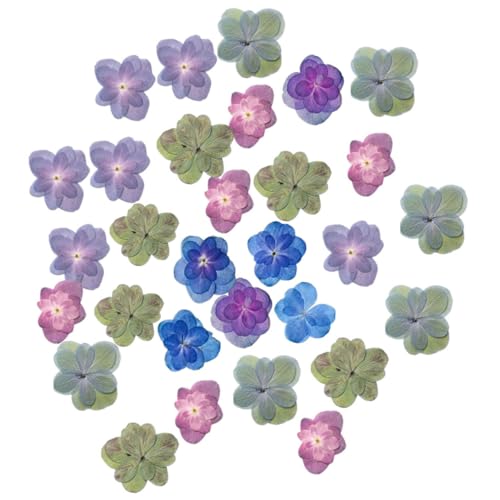 VALICLUD 30 Stück Teiliges Natürliche Getrocknete Schwere Hortensien Trockenblumen Gepresste Blüten für DIY Kerzen Schmuck Scrapbooking Kunsthandwerk Bookmark Dekoration VALICLUD 30 Stück Teiliges Natürliche Getrocknete Schwere Hortensien Trockenblumen Gepresste Blüten für DIY Kerzen Schmuck Scrapbooking Kunsthandwerk Bookmark Dekoration von VALICLUD