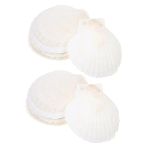 VALICLUD 35 Stück Shell Decoration Set Weiße Muscheln Wohnkultur Muscheln Muschelverzierungen natürliche Muscheldekore Muschelzubehör Küstendekor Hülse VALICLUD 35 Stück Shell Decoration Set Weiße Muscheln Wohnkultur Muscheln Muschelverzierungen natürliche Muscheldekore Muschelzubehör Küstendekor Hülse von VALICLUD