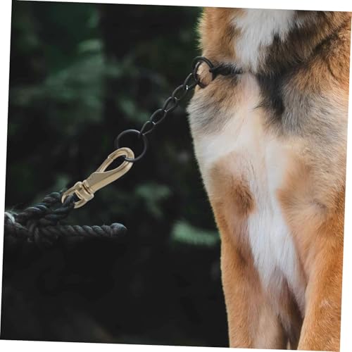 VALICLUD 4 Stück Massiver Messing Karabinerhaken mit Drehgelenk Robuster Schnapphaken für Schlüssel Taschen Gurte Lederhandwerk für Große Hunde und Vielseitige Befestigungen VALICLUD 4 Stück Massiver Messing Karabinerhaken mit Drehgelenk Robuster Schnapphaken für Schlüssel Taschen Gurte Lederhandwerk für Große Hunde und Vielseitige Befestigungen von VALICLUD
