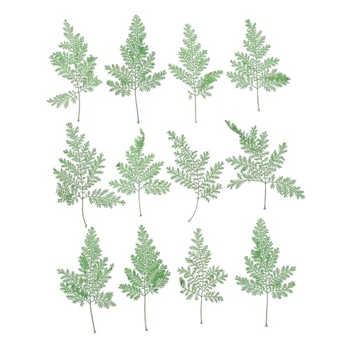 VALICLUD 48 Stück Teiliges Getrocknetes Gepresstes Multifunktionale DIY Bastelmaterialien Langlebige Dekorative für Schmuck Harz Notizkarten Handgefertigte Lesezeichen und Kreative VALICLUD 48 Stück Teiliges Getrocknetes Gepresstes Multifunktionale DIY Bastelmaterialien Langlebige Dekorative für Schmuck Harz Notizkarten Handgefertigte Lesezeichen und Kreative von VALICLUD