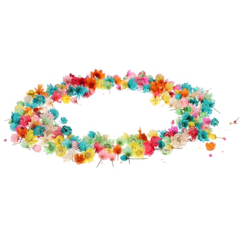 VALICLUD Bunte Getrocknete Blumen für DIY Basteln ca Kleine Zarte Blütenköpfe ohne Stiel für Harz Schmuck Kerzen Dekoration und Kreative Handwerksprojekte VALICLUD Bunte Getrocknete Blumen für DIY Basteln ca Kleine Zarte Blütenköpfe ohne Stiel für Harz Schmuck Kerzen Dekoration und Kreative Handwerksprojekte von VALICLUD