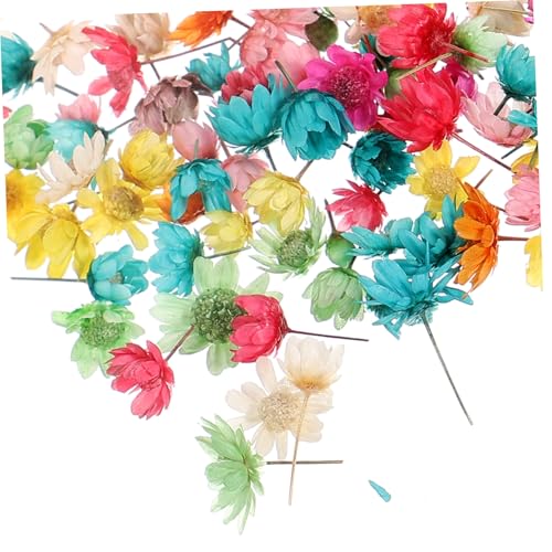 VALICLUD Getrocknete Kleine Zarte Blumen für DIY Bastelprojekte Bunte Getrocknete Blüten ohne Stiele für Harz Kerzen Schmuck Seife Handyhüllen und Kreative Dekorationen VALICLUD Getrocknete Kleine Zarte Blumen für DIY Bastelprojekte Bunte Getrocknete Blüten ohne Stiele für Harz Kerzen Schmuck Seife Handyhüllen und Kreative Dekorationen von VALICLUD