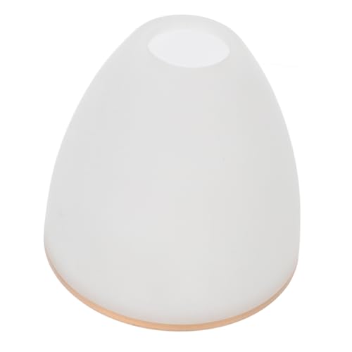VALICLUD Glas Lampenschirm Ersatzglas Deckenleuchte Lampenabdeckung Transparent Lichtschutz für Wohnzimmer Schlafzimmer Hängeleuchte Wandlampe Langlebig von VALICLUD