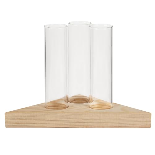 VALICLUD Glasvase mit Dreieckigem Holzsockel Dekorative Hydroponik Pflanzvase Transparente Desktop Blumenvase für Zimmerpflanzen und Blumenarrangements Modernes Design für Wohn VALICLUD Glasvase mit Dreieckigem Holzsockel Dekorative Hydroponik Pflanzvase Transparente Desktop Blumenvase für Zimmerpflanzen und Blumenarrangements Modernes Design für Wohn von VALICLUD