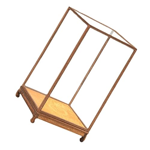 VALICLUD Glasvitrine für Holzfigur Staubschutz Vitrine Stabile Desktop Displaybox Multifunktional für Wohn und Ausstellungsdekoration von VALICLUD