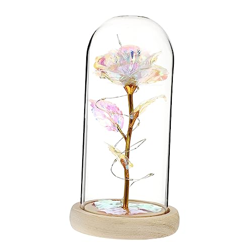 VALICLUD Schimmernde Im Glas Mit Led-Lichterkette Kreatives Für Frauen Zu Valentinstag Und Geburtstag Für Schlafzimmer Wohnzimmer Und Feiern von VALICLUD