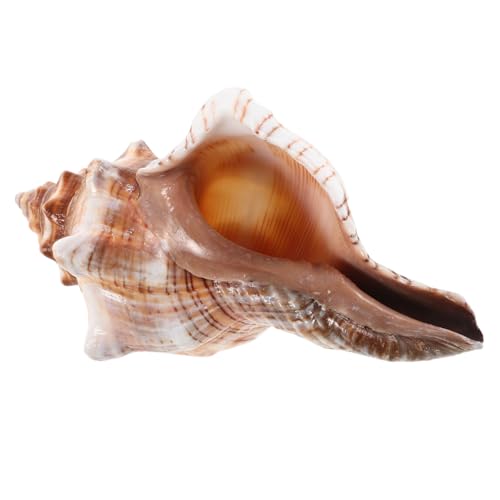 VALICLUD Strandblumentopf Aus Muscheln Sukkulenten-pflanzgefäß Küsten-tischdekor Nautisches Ornament Für Home Office Natürlicher Bonsai-Topf Für Kleine Räume von VALICLUD