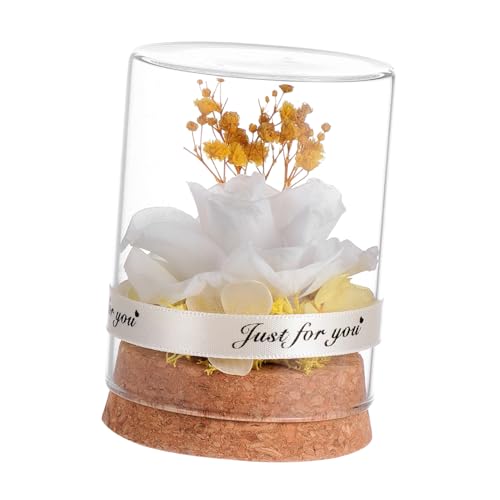 VALICLUD Vivid Glasglocke mit Simulierten Ewigen Blumen Kreative Valentinstag Dekoration Stilvolle Wohnaccessoire Geschenkidee für Muttertag und Besondere Anlässe VALICLUD Vivid Glasglocke mit Simulierten Ewigen Blumen Kreative Valentinstag Dekoration Stilvolle Wohnaccessoire Geschenkidee für Muttertag und Besondere Anlässe von VALICLUD