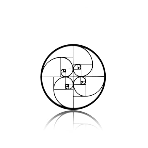 VALINSKY Metall Ornament Fibonacci Wandkunst, Geometrie Wanddekoration, schwarzes Metall Wandkunst Dekor, modernes Metall Wand hängendes Zeichen für Wohnzimmer Schlafzimmer Büro von VALINSKY
