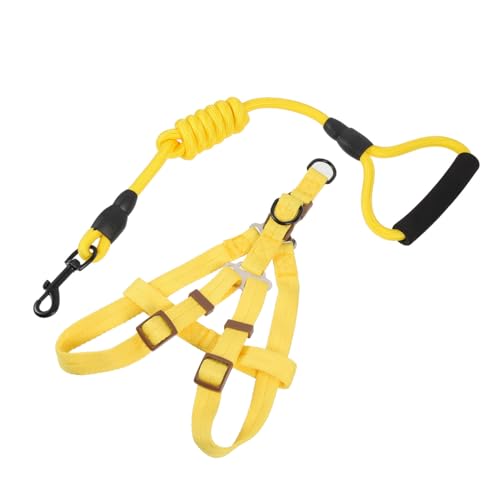 VANZACK Buntes Hundegeschirr mit Leine Verstellbares Welpengeschirr mit Gepolsterter Weste Leichtes Praktisches Haustiergeschirr für Komfortables Sicheres Gassigehen und Training Großer von VANZACK