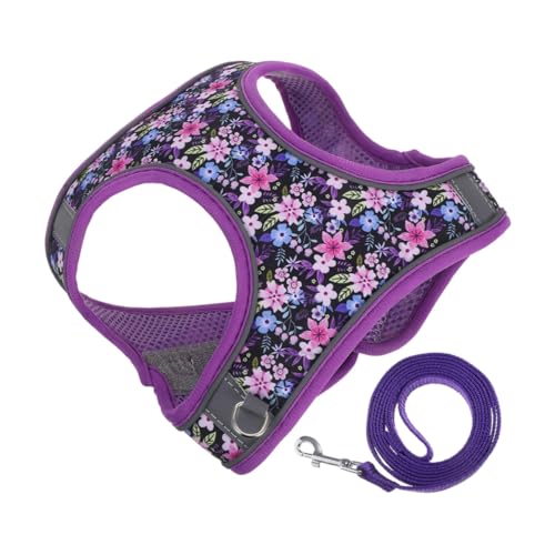 VANZACK Hundegeschirr mit Leine Atmungsaktives Mesh-Weste Geschirr für Kleine Hunde und Katzen Verstellbarer Brustgurt für Welpen und Kätzchen Robust und Komfortabel für Spaziergänge und von VANZACK