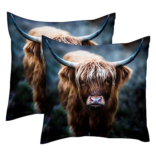 Schottisches Highland COW 2 Stück quadratische Kissenbezüge dekorativer weicher Samt-Kissenbezug für Couch, Sofa, Bett, Auto, Wohnzimmer, 40 x 40 cm von VAPOKF