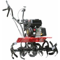 Varan Motors - 93019 Gartenfräse mit Motor 6.5PS 212CC Arbeitsbreite 80cm von VARAN MOTORS