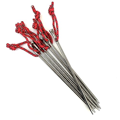 Vargo Titanium Ultralight Nail Peg (6 Pack) | Größe:15.2 cm L x 0.4 cm D (152mm x 4mm) | Gewicht:8.5g (8g) | T-110 von VARGO