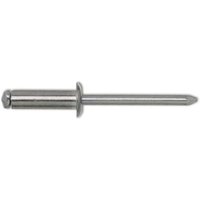 Blindnieten DIN7337 Flachrundkopf ø 3,0x8 mm Nieten mit Edelstahldorn Aluminium Blindnieten DIN7337 Flachrundkopf ø 3,0x8 mm Nieten mit Edelstahldorn Aluminium von VASALAT