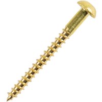 DIN96 4.0 x 40 Messing blank Holzschraube Halbrundkopf mit Schlitz DIN96 4.0 x 40 Messing blank Holzschraube Halbrundkopf mit Schlitz von VASALAT