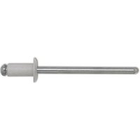 Vasalat - ISO15977 Blindniete Flachrundkopf 4.0x10 Aluminium mit Stahldorn RAL9010 weiß von VASALAT