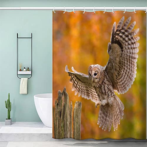 VASENA Eule Duschvorhang 180x200 Herbstwald Bad Vorhäng Anti-Schimmel Textil Anti-Bakteriel 3D Wasserdicht Duschvorhang Badewanne mit 12 Hooks von VASENA