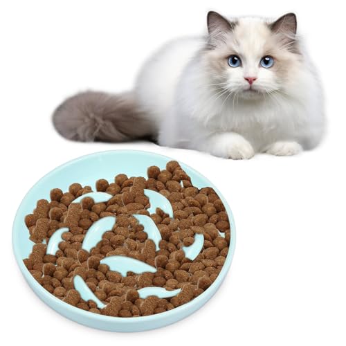Anti Schling Napf Keramik,Katzennapf mit langsamem Futter,erhöhter Rand,Fischform Futternapf für Haustiere,Anti-Erbrechen Futternapf,mühelos zu reinigen,Futternapf für Katzen und kleine Hunde (Grün) Anti Schling Napf Keramik,Katzennapf mit langsamem Futter,erhöhter Rand,Fischform Futternapf für Haustiere,Anti-Erbrechen Futternapf,mühelos zu reinigen,Futternapf für Katzen und kleine Hunde (Grün) von VAVPUP
