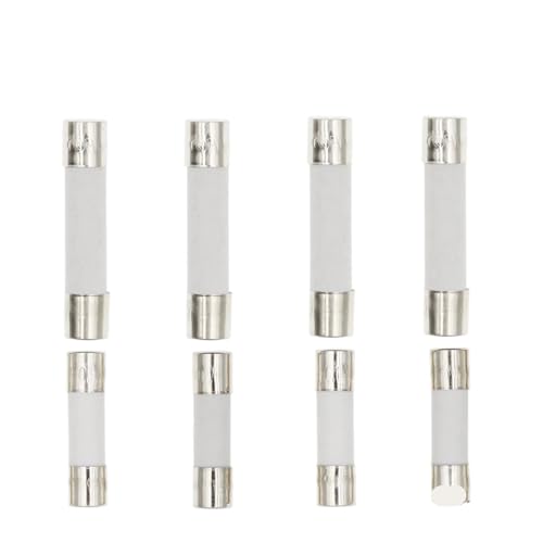 VAYEODEYU Keramik-Sicherungen, Kfz-Keramiksicherung 5 x 20 mm 6 x 30 mm Flink 250 V Sortimentspackung 0,1 A bis 30 A(8A) von VAYEODEYU