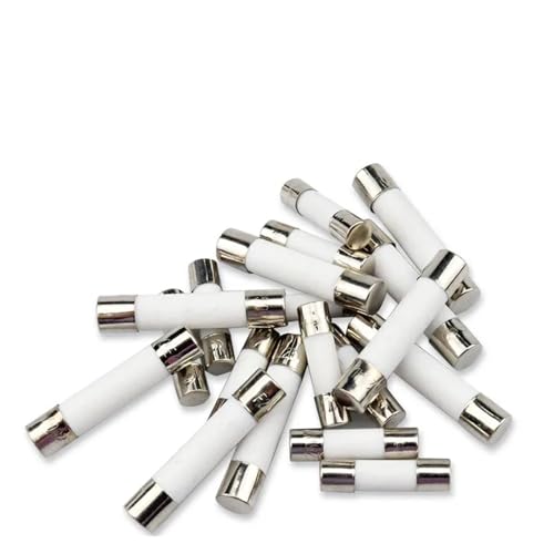 VAYEODEYU Keramik-Sicherungen, Schnell durchbrennende Keramikrohrsicherungen 5 x 20 mm und 6 x 30 mm, 0,1 A bis 30 A, 250 V, 10 Stück(2.5a,6X30MM-20PCS) von VAYEODEYU