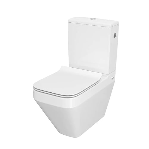 VBChome WC Toilette Stand Spülrandlos Keramik Komplett Set mit Spülkasten Funktion für Waagerechten Abgang WC-Sitz aus Duroplast mit Absenkautomatik Abnehmbar Deckel Waagerecht Ablauf von VBChome