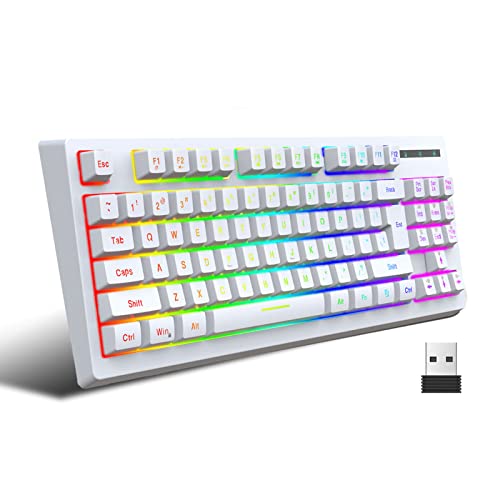 VBESTLIFE 2,4 G Kabellose, Kabelgebundene RGB-Gaming-Tastatur, 87-Tasten-Film-Kompakttastatur,Hot-Swap-fähige RGB-Gaming-Tastatur, Eingebauter 1800-mAh-Akku, für Gamer (Weiß) von VBESTLIFE