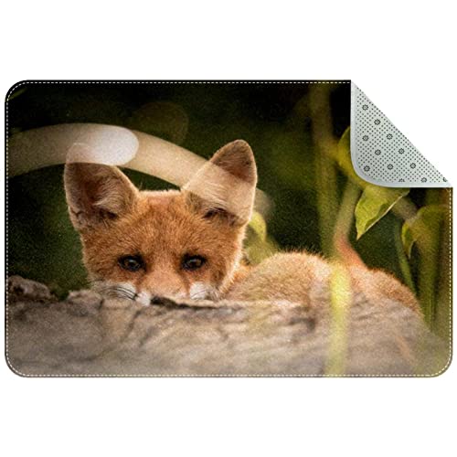 VBFOFBV Fußmatte, Outdoor-Innen-Fußmatte, strapazierfähige Bodenmatte, Rutschfester Teppich, vordere Fußmatte für Eingangsbereich, Terrasse,Fuchs Tier von VBFOFBV
