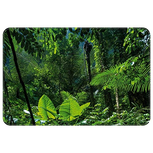 VBFOFBV Fußmatte, Outdoor-Innen-Fußmatte, strapazierfähige Bodenmatte, Rutschfester Teppich, vordere Fußmatte für Eingangsbereich, Terrasse,Landschaft Tropischer Regenwald Pflanzen Grün von VBFOFBV